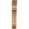 Ekena Millwork Merced Traditional Smooth Bracket, Western Red Cedar, 5 1/2"W x 24"D x 36"H BKT06X24X36MRC01SWR - alternate 3